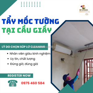 Tẩy mốc tường tại cầu giấy – nhanh ✅ an toàn