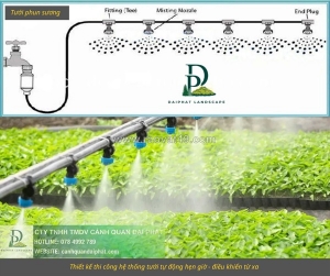 Thiết kế thi công hệ thống tưới tự động – nhàn tên, tiết kiệm, hiệu quả