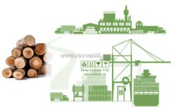 Thủ tục nhập khẩu gỗ