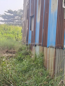 Thuê đất vườn – diện tích lớn 3.200m² – có thể dựng nhà – vị trí thuận tiện tại