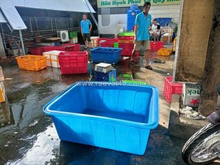 Thùng nhựa đặc 750 lít, tank nhựa chữ nhật 750l