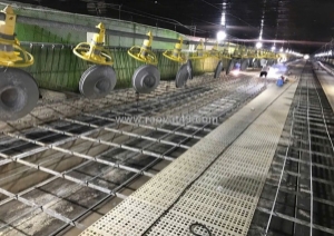 Trang trại tuyển cặp vợ chồng hoặc nam lđpt phụ việc chăn nuôi vịt