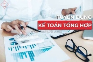 Tuyển 1 kế toán tổng hợp làm cho hkd chuyên về dv kế toán ở bình tân