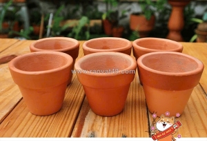 Tuyển 10 nam nv đóng gói chậu gốm làm tại bình dương