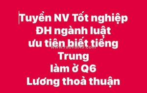 Tuyển nv tốt nghiệp đh ngành luật ưu tiên biết tiếng trung làm ở q6