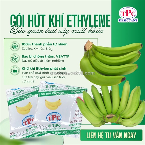 Ứng dụng gói hút ethylene trong bảo quản chuối xuất khẩu