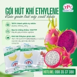 Ứng dụng gói hút ethylene trong bảo quản thanh long xuất khẩu