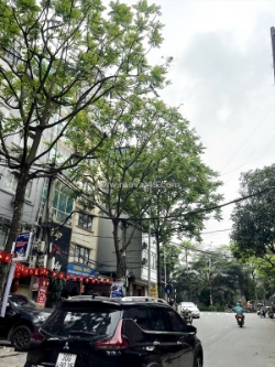 Vip, bán nhà văn cao hoàng hoa thám, ô tô tránh, kinh doanh, 80m, chỉ 26 tỷ