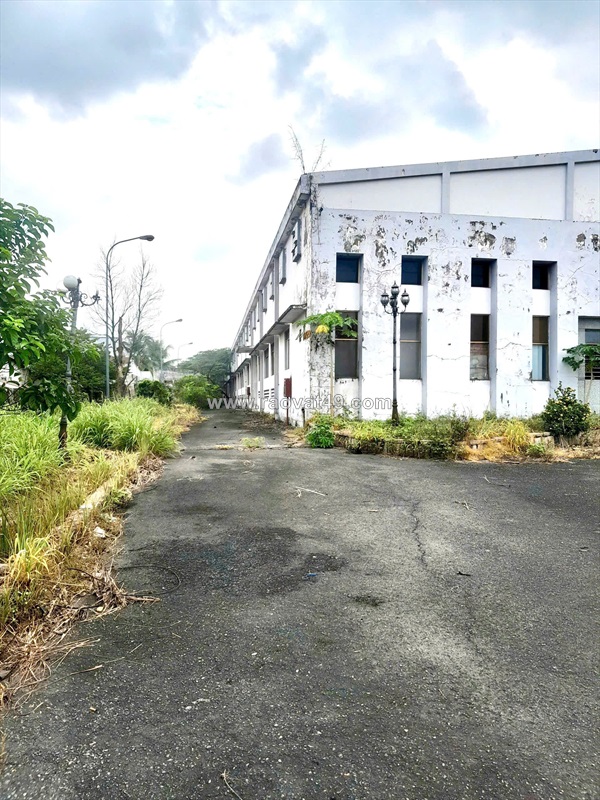 Xt057 cho thuê xưởng tổng diện tích 40.000m2 khung thép kiên cố, trống xưởng