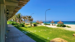 ✨✨ biển + dòng tiền = cara 365 cam ranh  chỉ hơn 1 tỷ / căn full nội thất