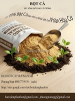 🌱 bột cá – giải pháp nâng tầm phân bón hữu cơ