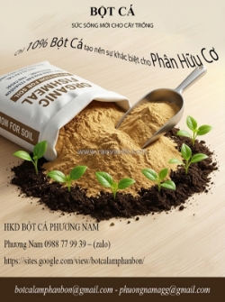 🌱 bột cá – giải pháp nâng tầm phân bón hữu cơ