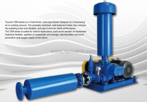 094.339.9919-bán máy khuấy trộn 1.5kw tsurumi mmr23nf41.5d-5