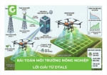 Bài toán môi trường, lời giải dtals