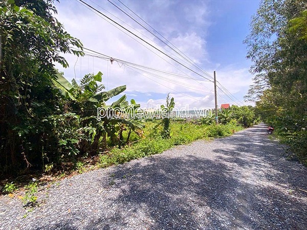 Bán đất thanh niên bình chánh, 1.400m² thổ cư 700m², sổ hồng, đường 6m