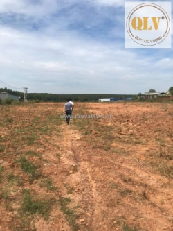 Bán đất trống phước hòa 48.450 m²