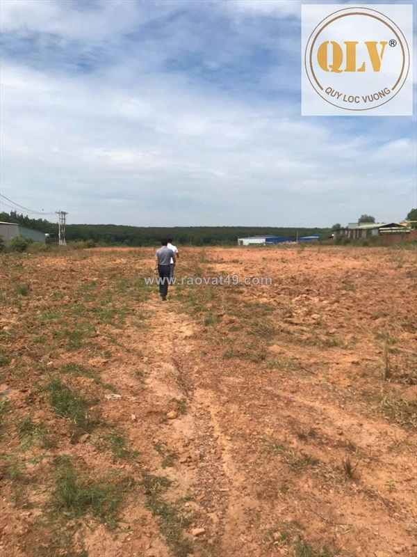 Bán đất trống phước hòa 48.450 m²