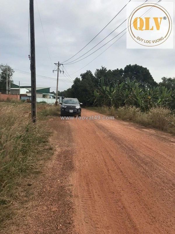 Bán đất trống phước hòa 48.450 m²
