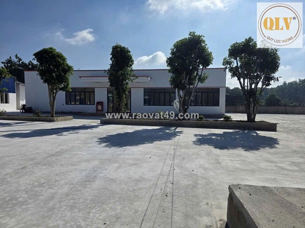 Bán nhà xưởng vĩnh hòa, phú giáo, bình dương 15.000m²