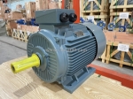 [báo giá] động cơ điện từ 37kw đến 75kw chính hãng - sẵn kho tại hà thanh motor