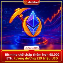 Bitmine đang “all-in” eth? 👀
