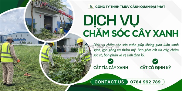 Cắt cỏ phát hoang cỏ dại kcn phú mỹ – kcn mỹ xuân (bà rịa vũng tàu)