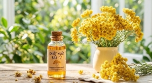 Chiết xuất bất tử – thành phần phục hồi da nổi bật từ chiết xuất thiên nhiên