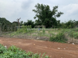 [chínhchủ] cần bán đất xã láng dài,đất đỏ,bà rịa-vũng tàu;1,3triệu/m2(1000m2)