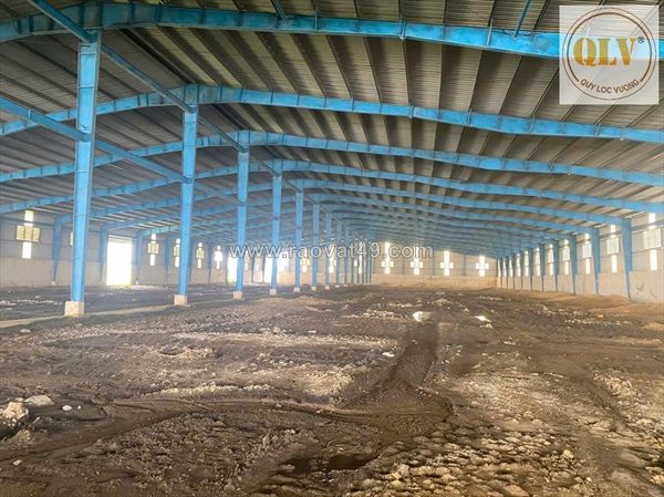 Cho thuê đất và nhà xưởng tại phú mỹ, bà rịa vũng tàu146.786m²