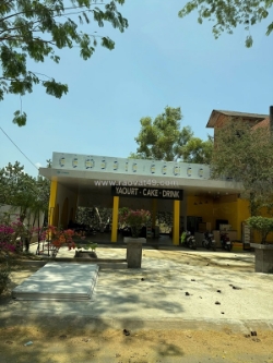 Cho thuê nhà mặt tiền và cửa hàng tại cần giờ