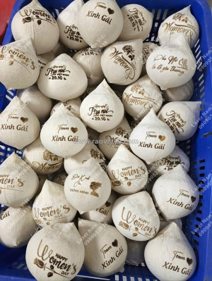 Công nghệ khắc laser trên trái dừa – khắc logo trên dừa đẹp, độc đáo