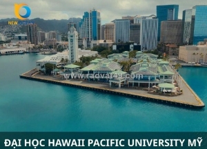 Công ty tư vấn du học new ocean - luôn tận tâm hỗ trợ xây dựng lộ trình phù hợp với tài chính