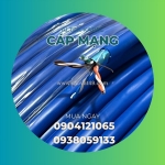 Cung cấp cáp mạng & ống ruột gà lõi thép đà nẵng