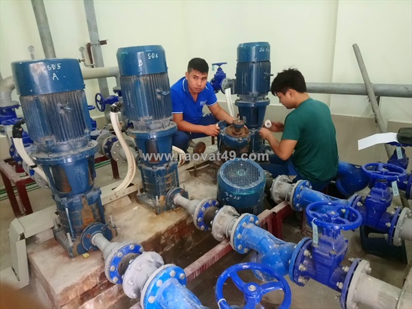 Cường thịnh vương – sửa chữa & thay phớt bơm trục đứng pentax chính hãng, nhanh, giá tốt