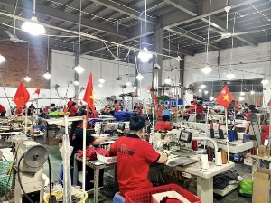 Đại hội cận ngày mới làm quà tặng? làm việc trực tiếp với xưởng