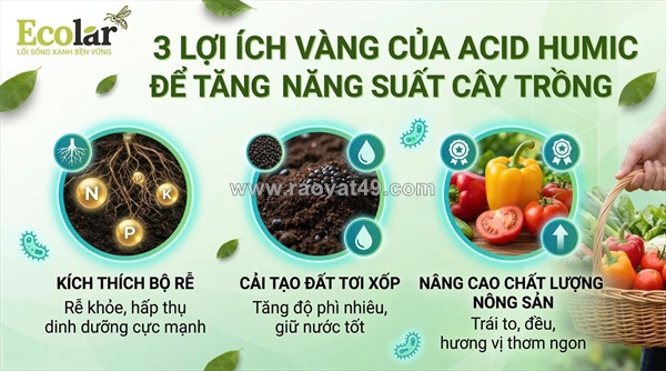 Đánh giá thực nghiệm hiệu quả của humic đối với năng suất