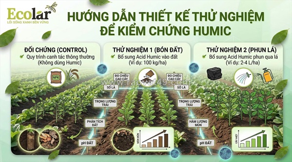 Đánh giá thực nghiệm hiệu quả của humic đối với năng suất