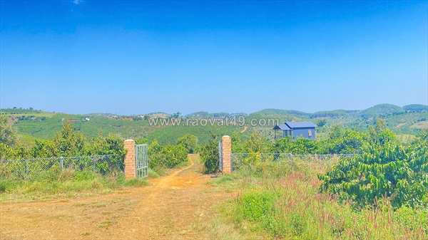 Đất hẻm ql28b, ninh gia, đức trọng cũ, lâm đồng 3,7 héc ta ( 37.000m2 )