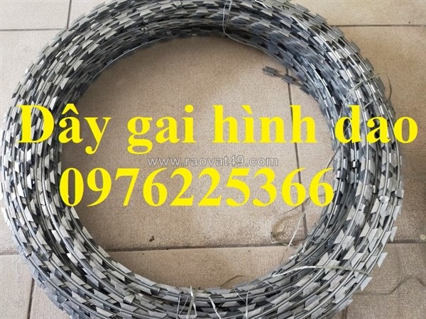 Dây thép gai chống trộm