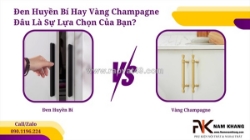 Đen huyền bí hay vàng champagne đâu là sự lựa chọn của bạn?