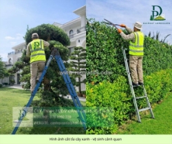 Dịch vụ cắt cỏ – cưa cây tại kcn long thành, đồng nai