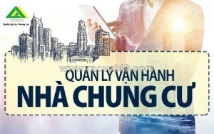 Dịch vụ quản lý vận hành tòa nhà tại hải phòng