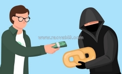 Đơn vị uy tín chuyên cung cấp dịch vụ backlink chất lượng cao