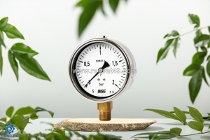 Đồng hồ áp suất wise p253 công nghiệp – độ chính xác cao, mua ngay tại dantek giá tốt