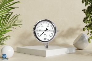 Đồng hồ áp suất wise p255 – thiết bị đo áp chính xác, bền bỉ được khách hàng tin dùng