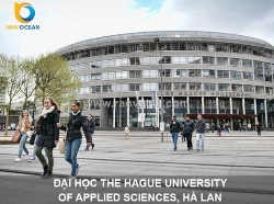 Du học hà lan new ocean – giúp hành trình học tập trở nên rõ ràng hơn