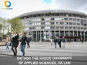 Du học hà lan new ocean – giúp hành trình học tập trở nên rõ ràng hơn