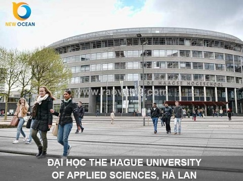 Du học hà lan new ocean – giúp hành trình học tập trở nên rõ ràng hơn