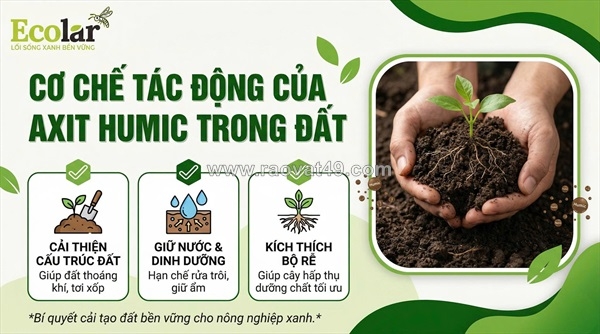 ~/Img/2026/4/giai-ma-bi-mat-duoi-long-dat-axit-humic-da-thay-doi-cuc-dien-nong-nghiep-nhu-the-nao-01.jpg