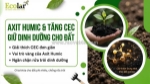 Giải mã khả năng giữ dinh dưỡng của đất: tác động tuyệt vời từ phân bón hữu cơ humic